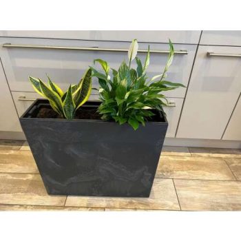   Kül és beltéri kaspó téglalap alakú-sötét szürke beton effekt mintázatú.A növény nem tartozéka a terméknek csak a kaspó!