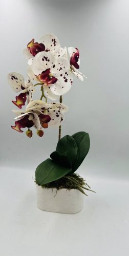 Orchidea dekor fehér/ bordó pöttyös  kerámia kaspóban