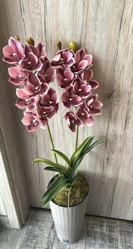 Különleges orchidea padlóvázában 