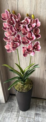 Különleges orchidea padlóvázában 