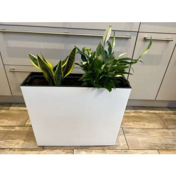  Kül és beltéri kaspó téglalap alakú-fehér színű,A növény nem tartozéka a terméknek csak a kaspó!