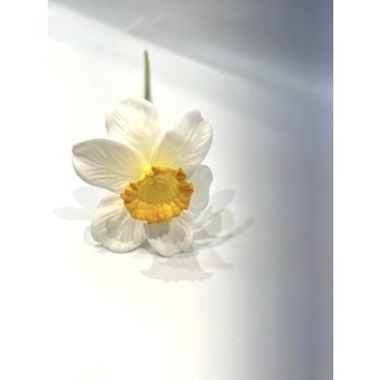 NÁRCISZ SZÁLAS GUMI M40CM