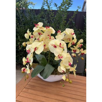   4 szálas csónak kaspós orchidea dekor -élethű kivitelezéssel