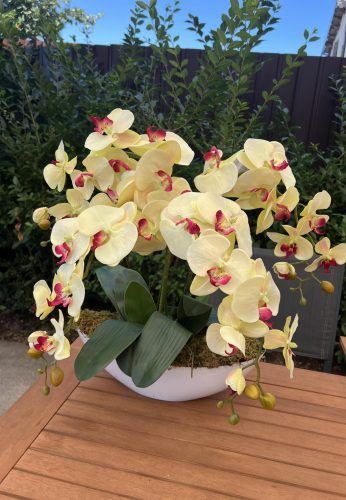 4 szálas csónak kaspós orchidea dekor -élethű kivitelezéssel