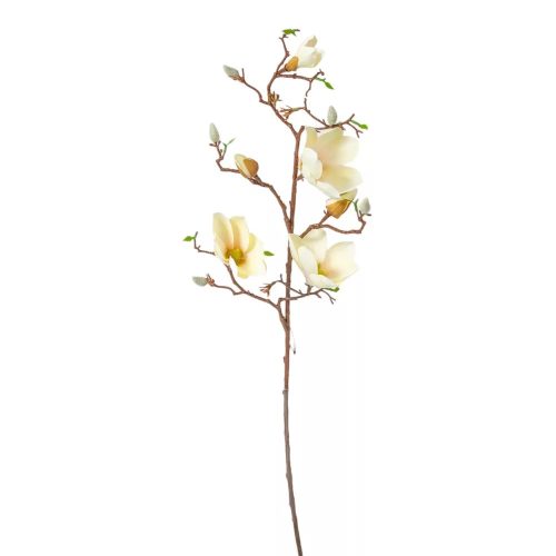 Magnólia ág 3v. vanilia M80cm
