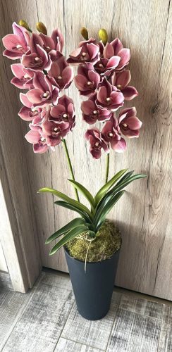 Különleges orchidea padlóvázában 