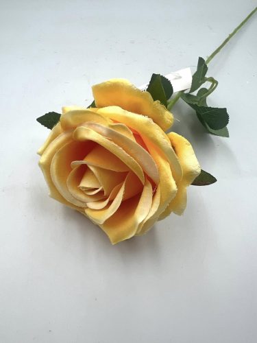 rózsa szálas M51cm 