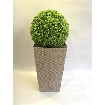   Műbuxus prémium minőségű bézs mocca rattan műanyag négyszögletes padlóvázában