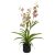 Lepkeorchidea 3 ágú, Oncidium, kaspóban 70 cm élethű művirág választható felirattal