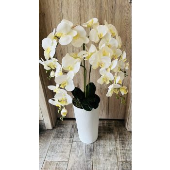   Fehér mintájában csíkos kaspós 4 szálas orchidea padlóvázában 
