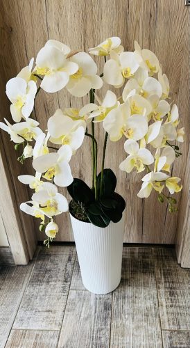 Fehér mintájában csíkos kaspós 4 szálas orchidea padlóvázában 