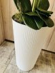 Fehér mintájában csíkos kaspós 4 szálas orchidea padlóvázában 