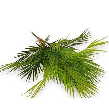 Pálmacsokor élethű 69 cm