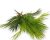 Pálmacsokor élethű 69 cm