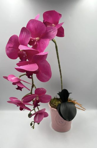 1 szálas orchidea dekor