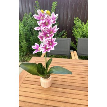   Orchidea szálas ,kerámia kaspóban -ha szeretnél rá feliratot írd meg nekünk! 