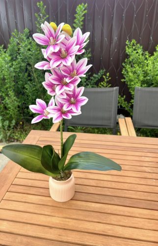 Orchidea szálas ,kerámia kaspóban -ha szeretnél rá feliratot írd meg nekünk! 