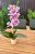 Orchidea szálas ,kerámia kaspóban -ha szeretnél rá feliratot írd meg nekünk! 
