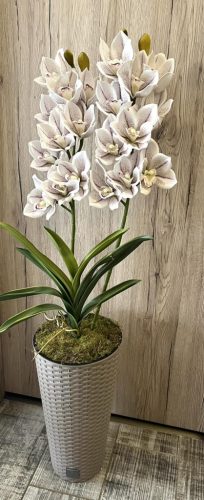 Különleges orchidea padlóvázában