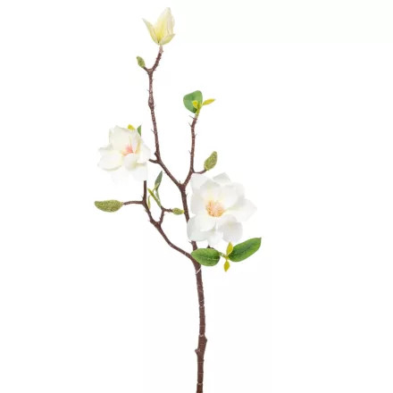 Magnólia ág 3v. krém M50cm