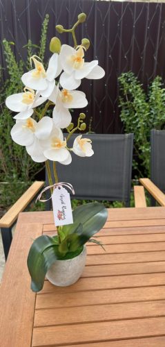 Fehér orchidea dekor 2 ágas, szürke színű kaspóban-anyáknapi felirattal is 
