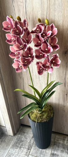 Különleges orchidea padlóvázában 