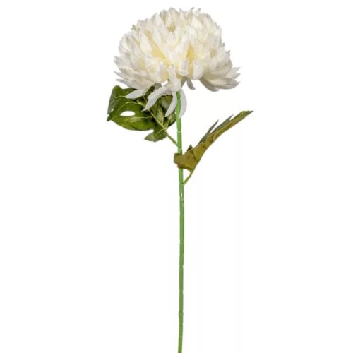 Krizantém szálas krém M53cm