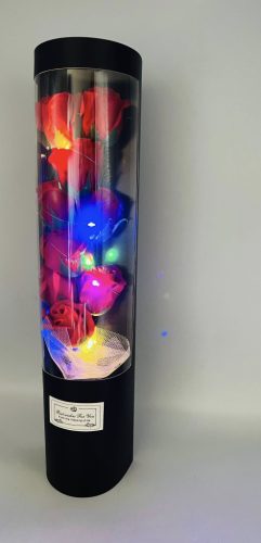SZAPPANRÓZSÁK DOBOZBAN LEDES  10x43 cm 