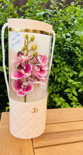 Orchidea dekor 