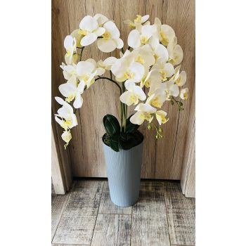   Szürke mintájában csíkos kaspós 4 szálas orchidea padlóvázában 