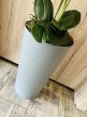 Szürke mintájában csíkos kaspós 4 szálas orchidea padlóvázában 
