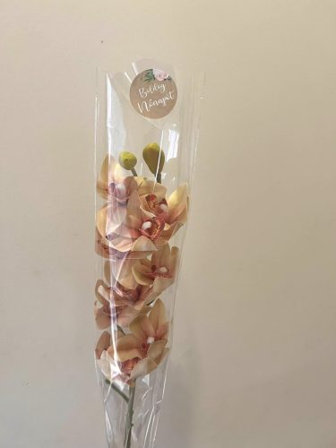 Orchidea szálas díszcsomagolással-nőnapi felirattal