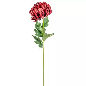 Krizantém szálas bordó M66cm