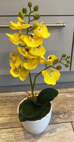 Sárga színű orchidea dekor 1szálas-de 2 ágú