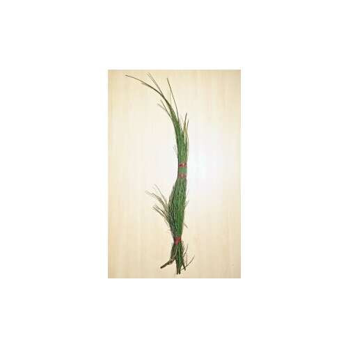 Vágott zsurló/ zanót kötegben Grincsfához 1 csokor 100 - 130 cm