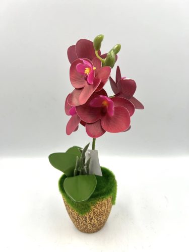 Cserepes orchidea gumi M27cm