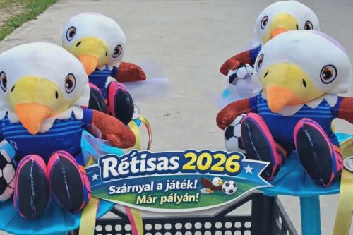 Focis ballagási csokor sas plüss figurával – sportos ajándék ballagásra