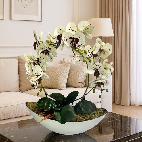 Csónak kaspós orchidea dekor hajlított extra fehér alapon bordó pöttyös