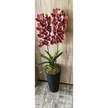 Különleges orchidea padlóvázában (1.)