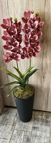 Különleges orchidea padlóvázában