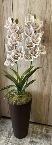 Különleges orchidea padlóvázában