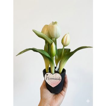   Anyáknapi Élethű fehér tulipán kaspóban – 23 cm, választható felirattal