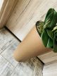 Közép barna kaspós 4 szálas orchidea padlóvázában barna színű kaspóban