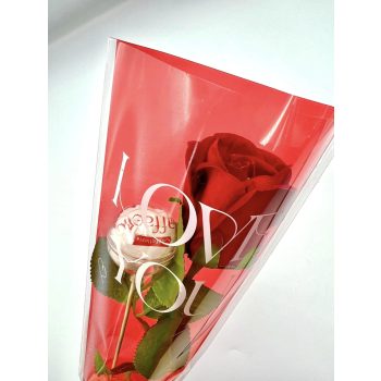 Bársony rózsa Raffaelloval