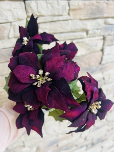 Bíbor színű bársony mikulásvirág 5 fejes 35 cm