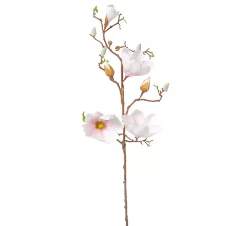 Magnólia ág 3v. púder M80cm 