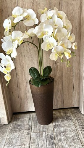 Sötét barna kaspós 4 szálas orchide padlóvázában 