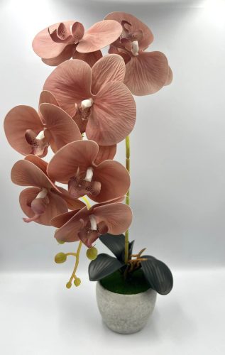 1 szálas orchidea dekor