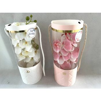 DOBOZOS ORCHIDEA, AJÁNDÉK ORCHIDEA FELIRATTAL bármely alkalomra