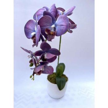 EGYSZÁLAS ORCHIDEA DEKOR
